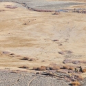 Open Field - Aerial Shot