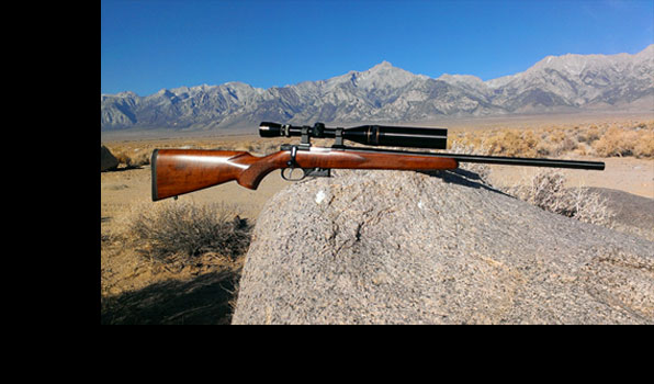 Review of the CZ Model 527 in .17 Hornady Hornet