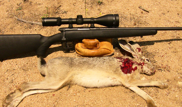 17 Win Super Mag and Savage BMAG – First Hunt Report