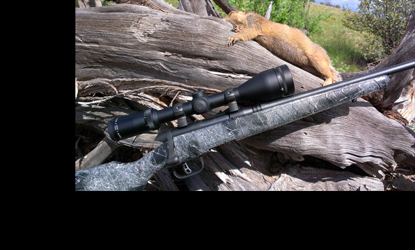 Savage B.MAG 17 Winchester Super Magnum – New Hunt Report