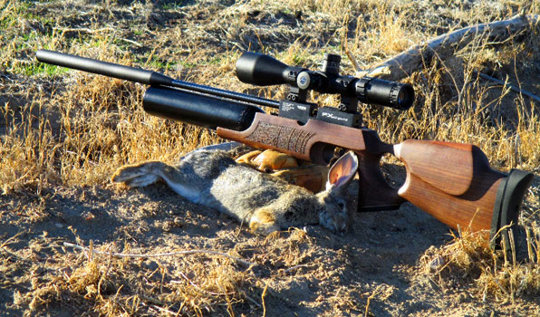 FX Boss 30 Caliber Airgun Field Test & Hunt Report Video