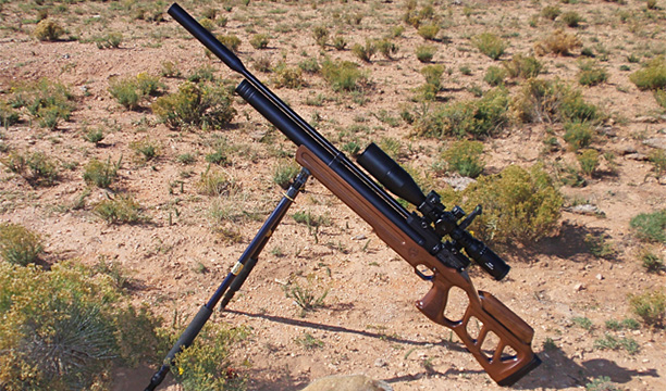 Kalibrgun Cricket Air Rifle Prairie Dog Hunt