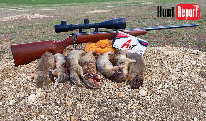 New CCI A17 17 HMR Ammunition Hunt Report and Review