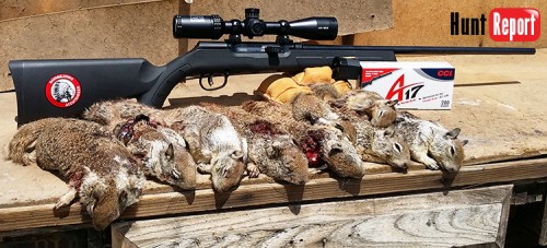 The Savage A17 Rifle – First Hunt Report