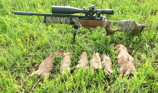 New Mexico Prairie Dog Hunting with an Airgun