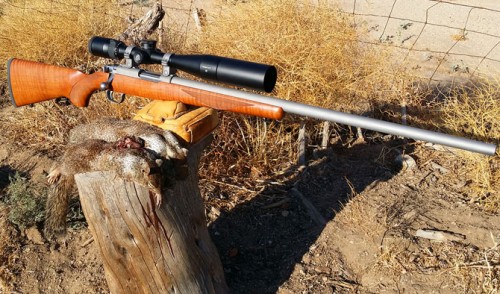 Ruger 77-17 – 17WSM Hunt Report Part One with Accuracy Update