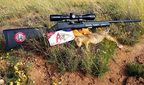 Review of the Savage A17 Semi Auto 17HMR Rifle with Hunt Report