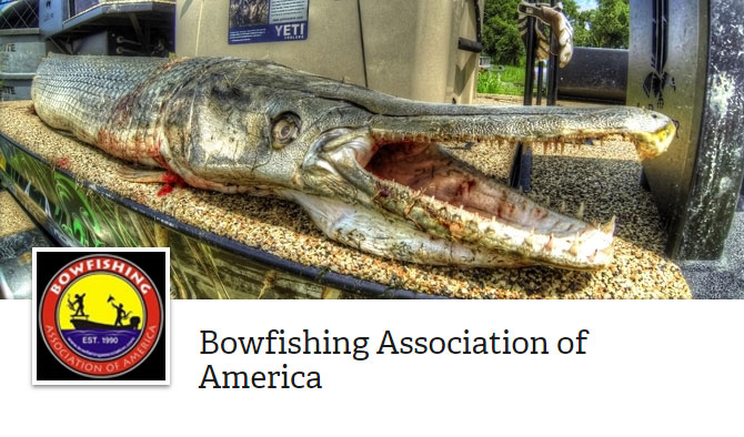 Bowfishing Association Now Offering Free Memberships