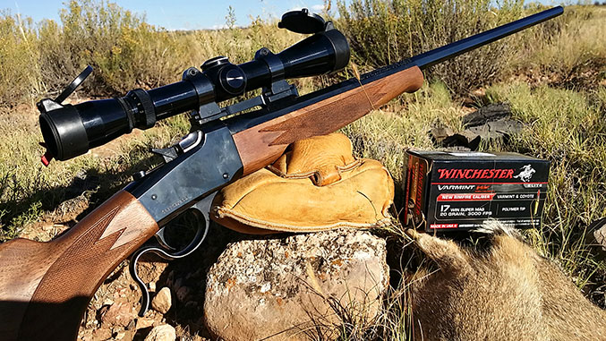 Review of the Winchester 1885 Rifle in 17WSM with Hunt Report