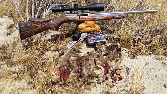 Volquartsen 17WSM Ground Squirrel Hunt Report