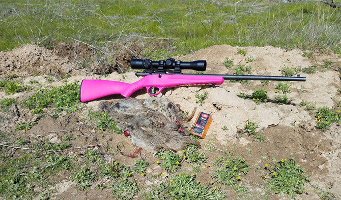 Savage Rascal 22 Long Rifle Review and Hunt Report