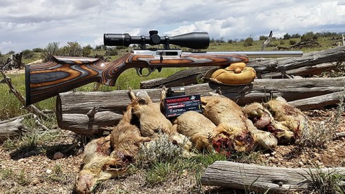 Review of the Volquartsen Semi-Auto 17WSM with Hunt Report