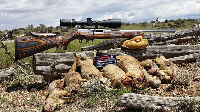 Review of the Volquartsen Semi-Auto 17WSM with Hunt Report