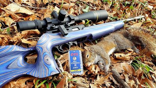 Volquartsen Firearms Announces a Summit Rifle in 17 Mach 2