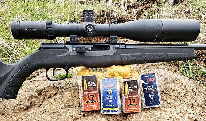 The New Savage Arms A17 in 17 Mach 2 – 17HM2