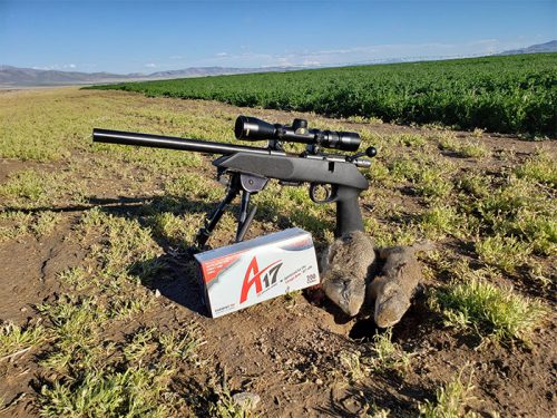 Anschutz 17P – 17HMR Pistol Review and Nevada Ground Squirrel Hunt