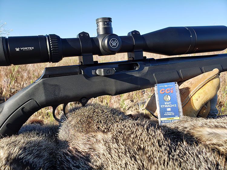 New Savage Arms A17 in 17 Mach2 Review and Hunt Report – Part Two