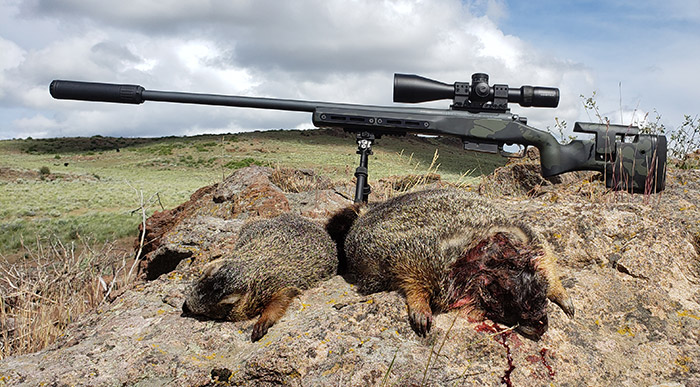 How Accurate Is Factory Ammo when Paired with a Custom 6mm Creedmoor Rifle Part III: The Hunt