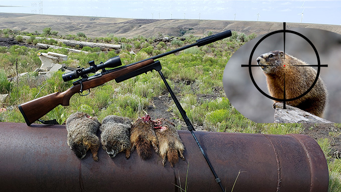 Rockchuck Hunting – 22 Creedmoor & 69 Grain Sierra Blitzking Bullets