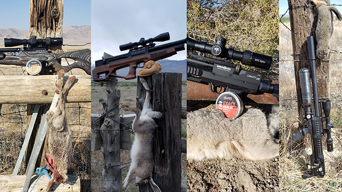 Airgun Hunting Jackrabbits – Part One