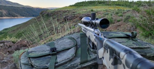 The .220 Swift – Speed King of the Factory 22 Centerfire Cartridges