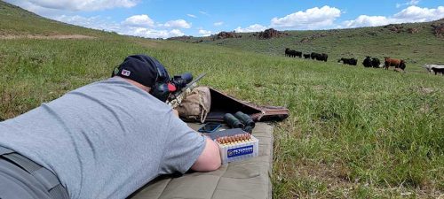 6.5-300 Weatherby Varmint Hunt