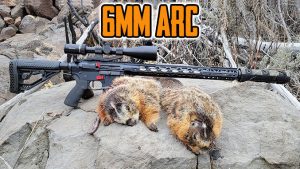 Hornady 6MM ARC Full Review and Hunt Report from a Varmint Hunter’s Perspective
