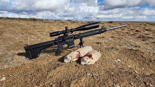 Mead Industries .223 Remington Dog Gone Ammunition – 4-Minute Ammo Review with Prairie Dog Hunt