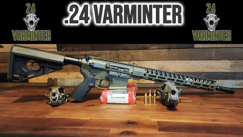 The New Rebranded 24 Varminter Rifle Cartridge with Mad Dog Weapon Systems