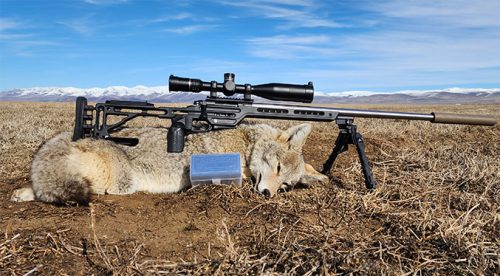 Custom 6.5 Creedmoor Rifle Build with the First Hunt Using the Burris Veracity PH Riflescope