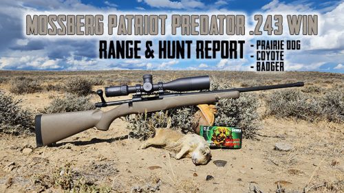 Mossberg Patriot Predator .243 Rifle – Full Overview and Range Test with Prairie Dog and Coyote Double Hunts in 4K