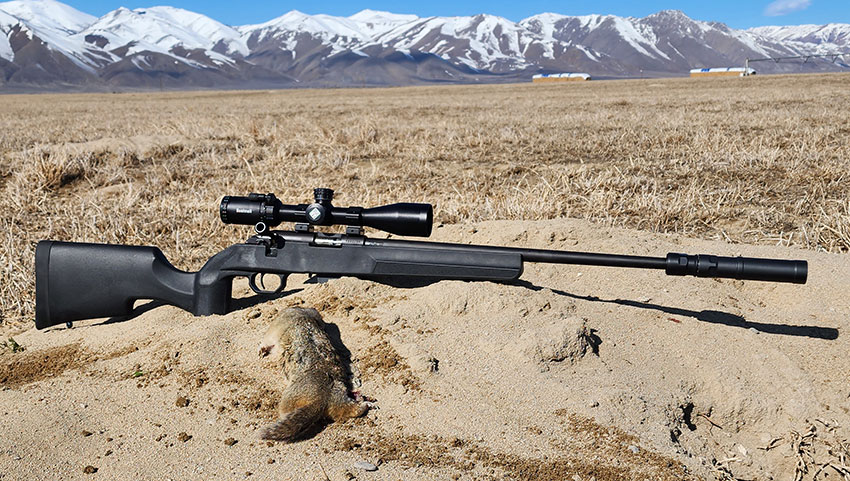 Howa M1100 17HMR Bolt Action Rimfire Rifle – Full Overview and Ground Squirrel Hunt Report