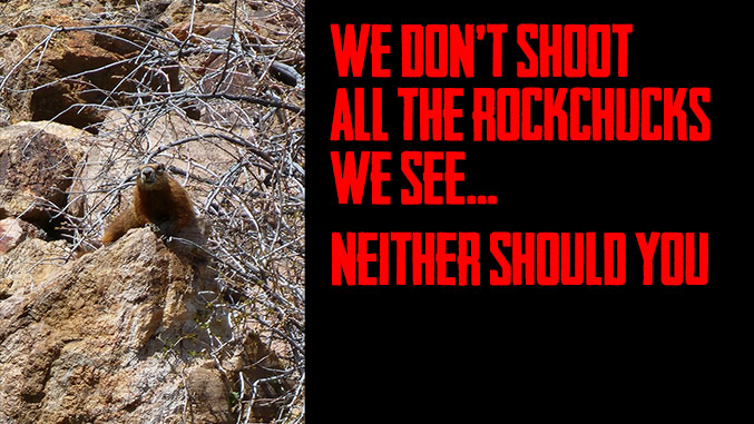 We Don’t Shoot All the Rockchucks We See and Neither Should You