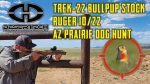 Desert Tech TREK-22 Ruger 10-22 Bullpup Stock