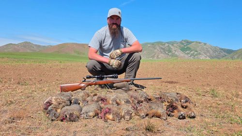 A Nebraska Hunter’s Western Varmint Adventure
